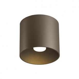 Wever & Ducré Ray 1.0 LED Plafondlamp Bronze - 2700 Kelvin