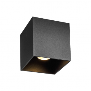 Wever & Ducré Box Outdoor Plafondlamp Zwart - 2700 Kelvin
