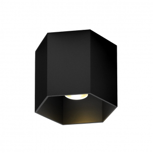 Wever & Ducré Hexo 1.0 Plafondlamp Jet Black LED - 3000 Kelvin