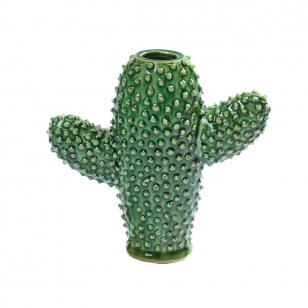 Serax Serax cactusvaas Small