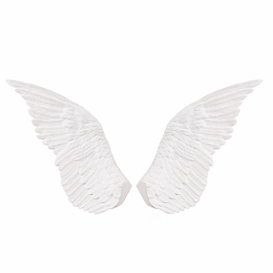 Seletti Memorabilia Wandobject Wings