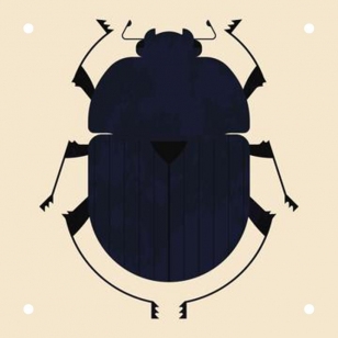 The Dung Beetle