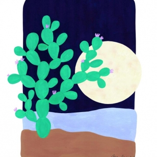 Cactus and Moonlight