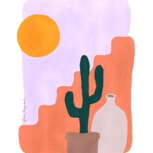 Cactus and Sunshine
