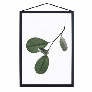 MOEBE Floating Leaves Poster A3 NO.5
