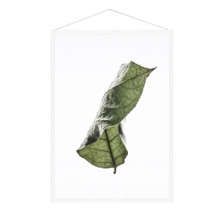 MOEBE Floating Leaves Poster A4 NO.4